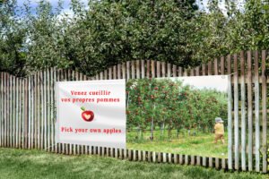 apple picking banner