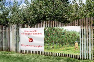 apple picking banner