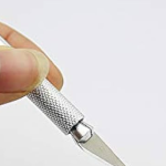 Wall murals1731944716