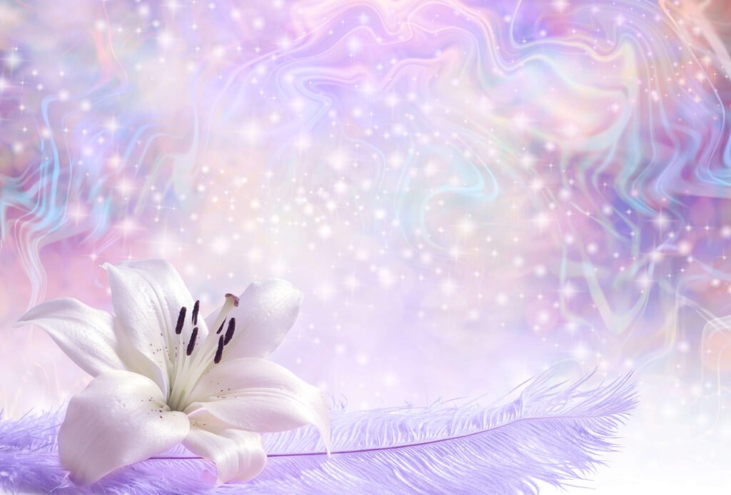 Lily on a lilac feather