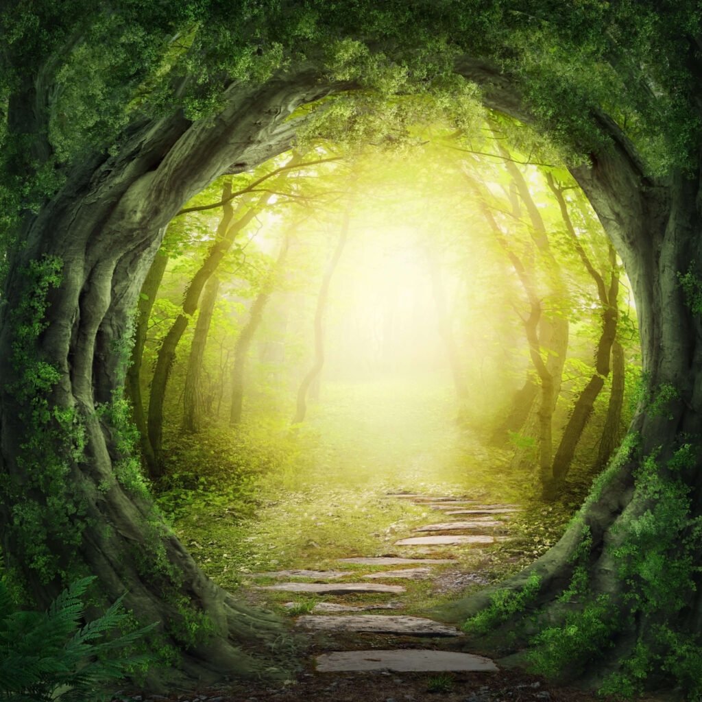 road in dark forest