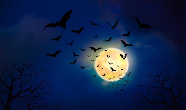 Bats at night