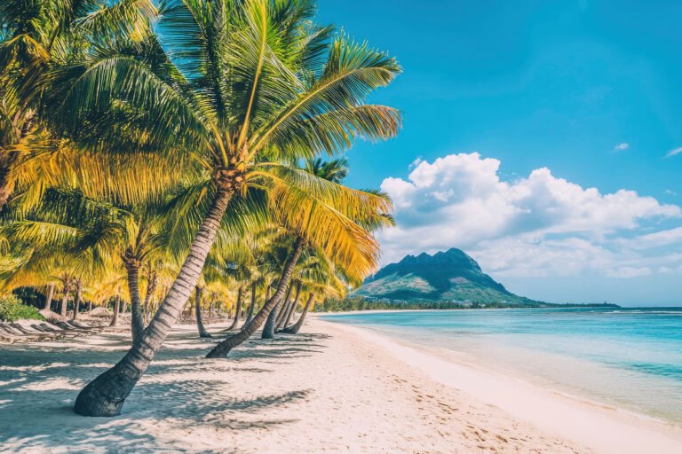 Paradise beach resort