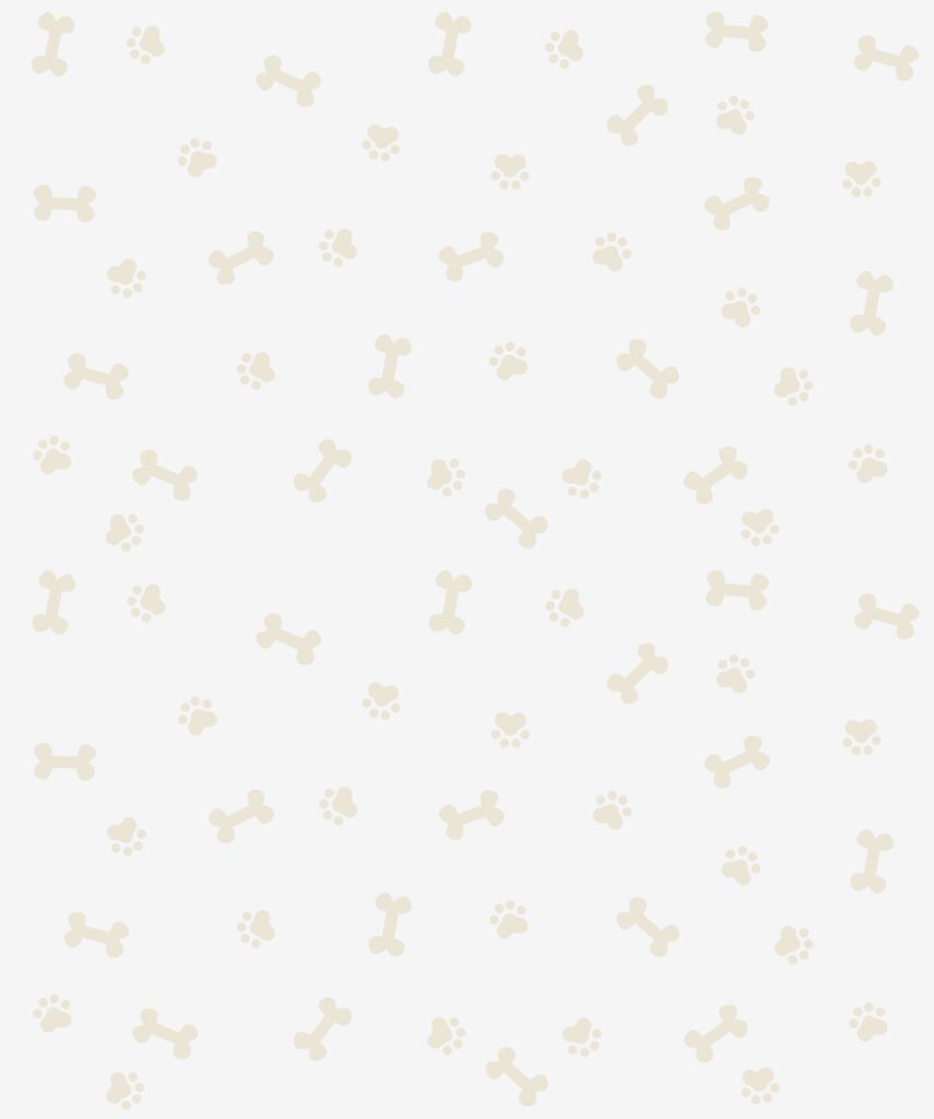 dog paws pattern