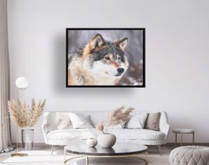 Black floating frame living room for home page