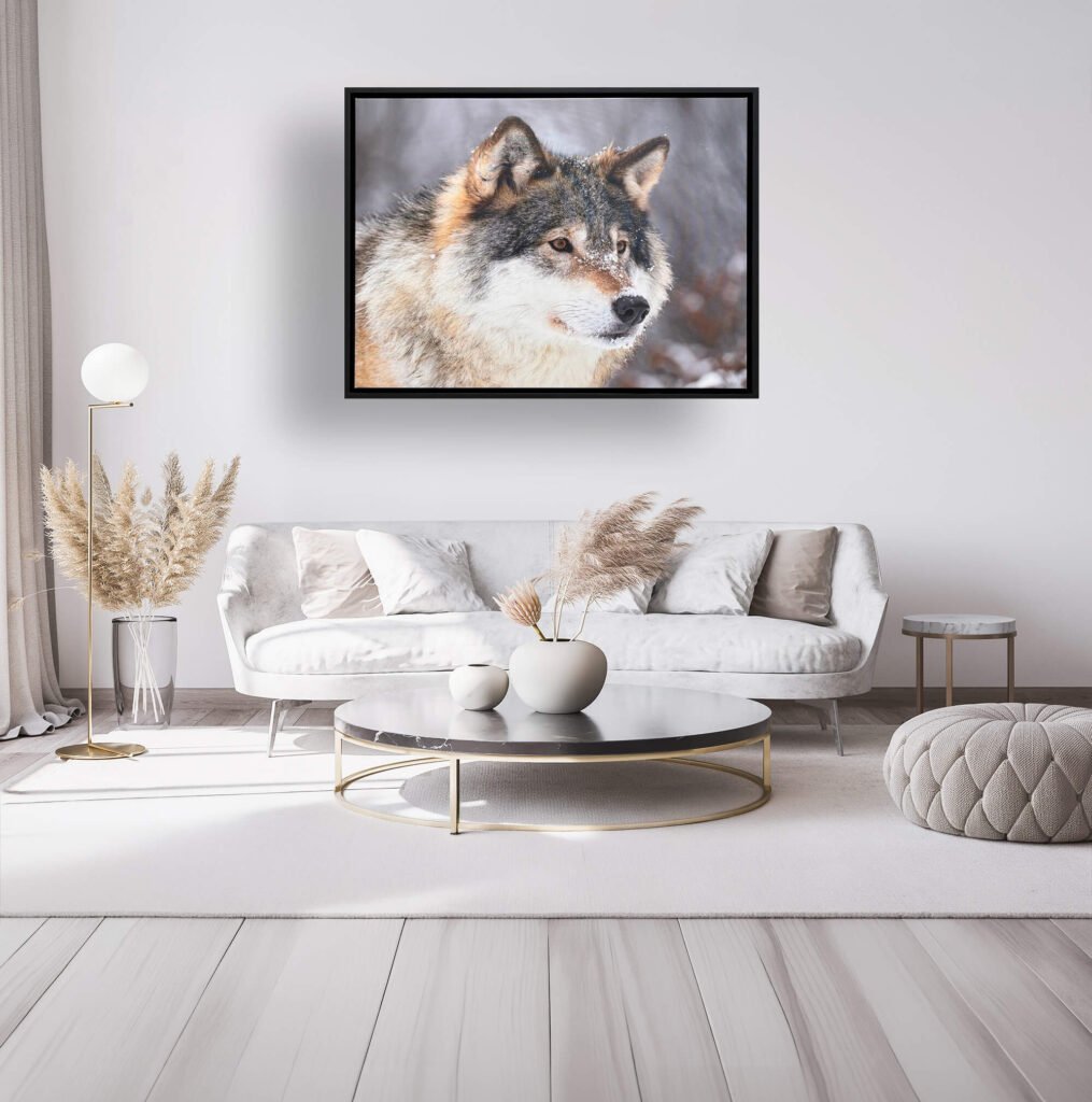 Floating frames black with wolf canvas in modern white and tan living room