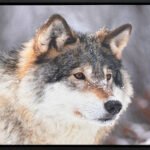 Floating frames black for canvas print – modern floating frame for artwork